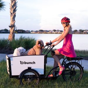 woman and 2 dogs in passenger e-bike
